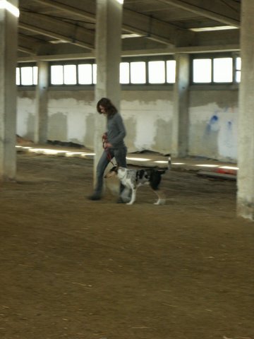 5.