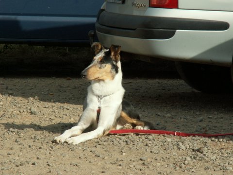 11.