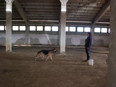 13.