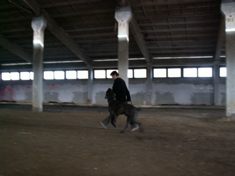 15.
