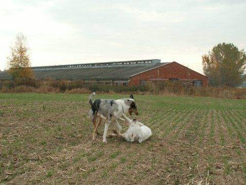 56.