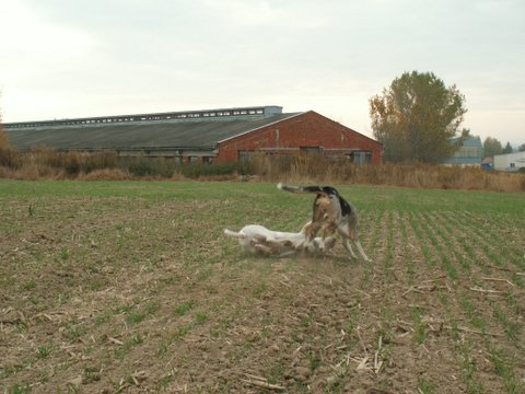 57.