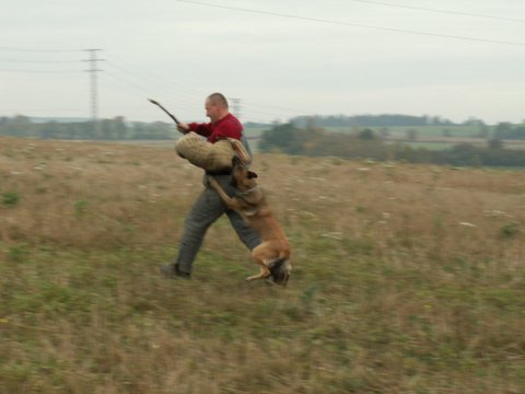 60.