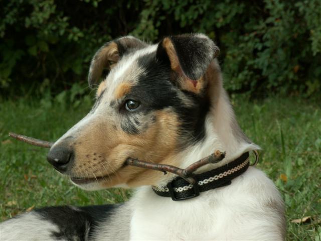 hurá klacek